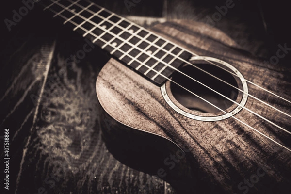 Obraz ヴィンテージ調のウクレレ