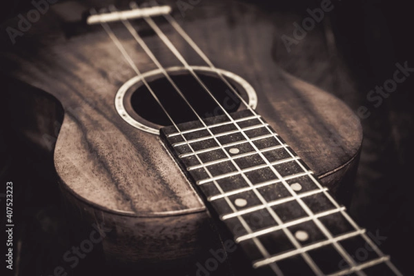 Obraz ウクレレのネック