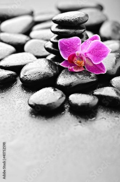 Obraz orchidea
