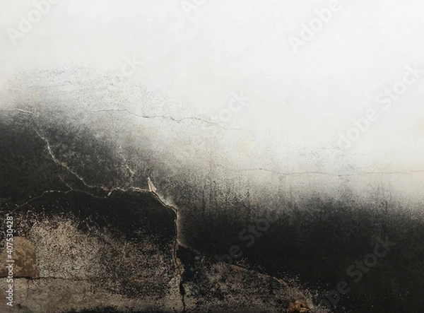 Obraz Abstract Russ Background