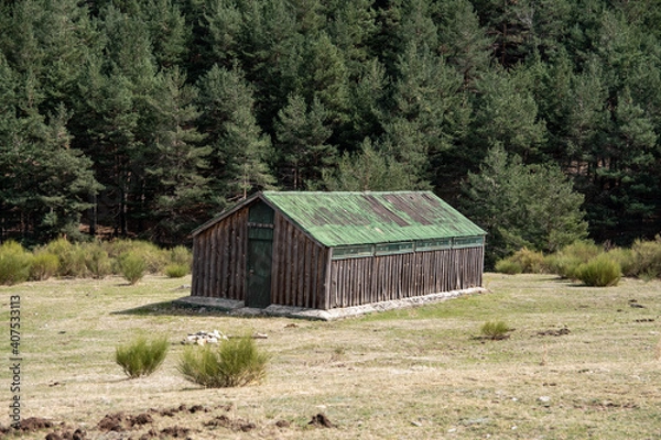 Fototapeta casa abandonada en medio del monte