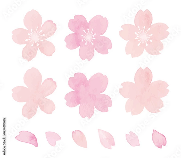 Fototapeta 桜の花の水彩イラスト