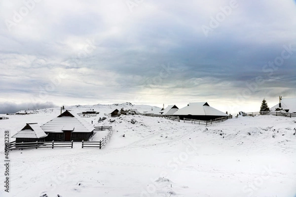 Obraz Velika planina