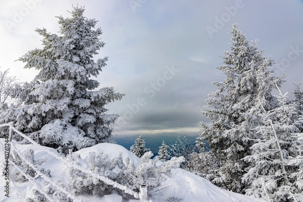 Obraz Velika planina