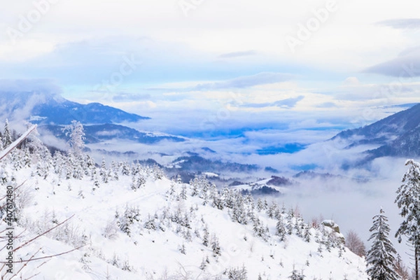 Obraz Velika planina