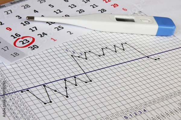 Obraz Fertility chart. Naprotechnology.