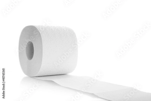 Obraz Roll of toilet paper isolated on a white background