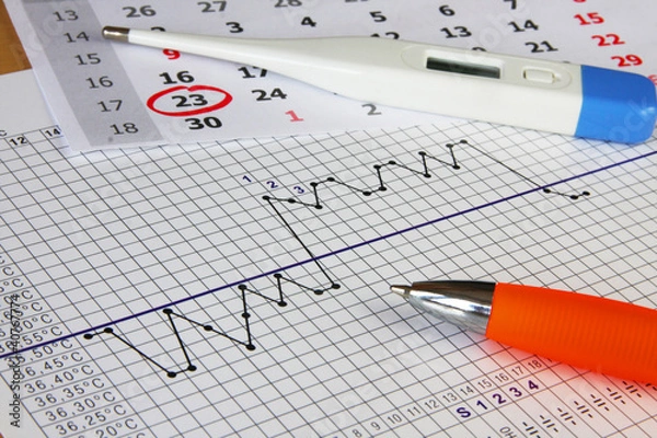 Fototapeta Fertility chart. Naprotechnology