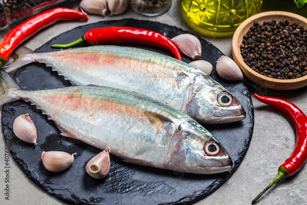 Obraz indian mackerel rastrelliger kanagurta (1)