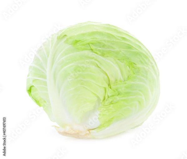 Fototapeta cabbage isolated on white background
