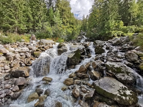 Obraz stream in the forest