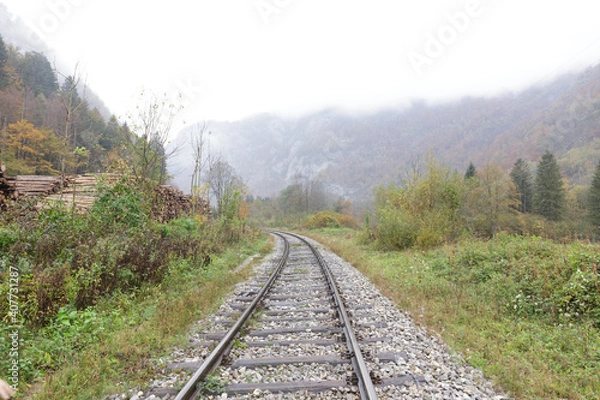 Obraz Train tracks and logs pilled up
