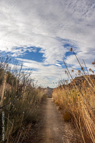 Obraz Hike to the top