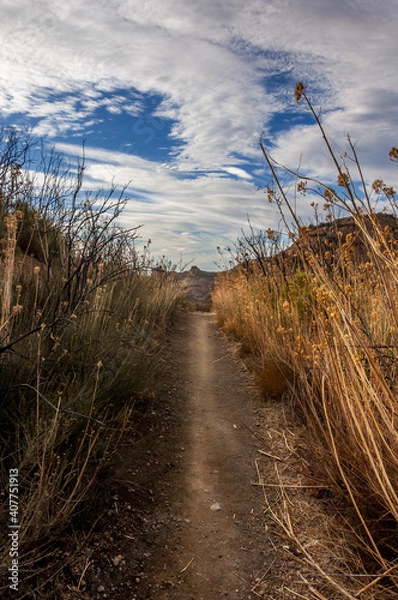 Obraz Hike to the top