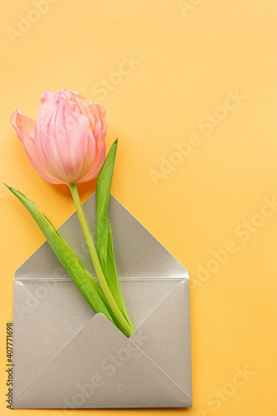 Fototapeta Tender pink tulip in elegant grey envelope on left side of pastel yellow background. Copy space. Place for text. Concept of international women's day, mother's day, easter. Valentines love day