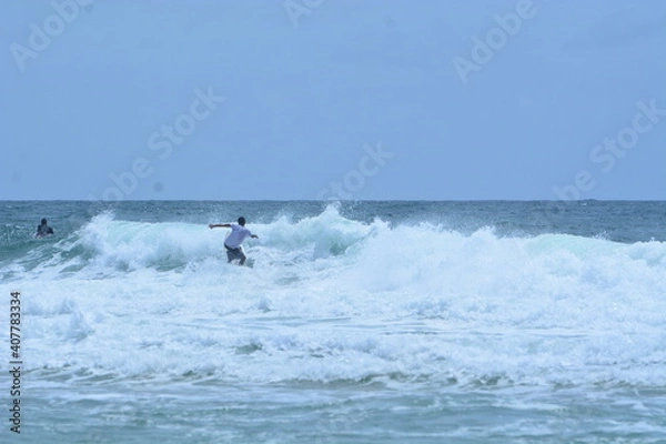 Obraz brava - floripa