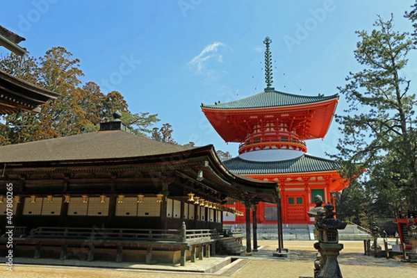 Obraz 冬の根本大塔