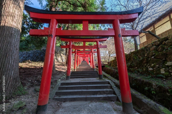 Fototapeta 鳥居＆鳥居＆鳥居