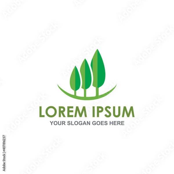 Fototapeta pine tree logo vector image