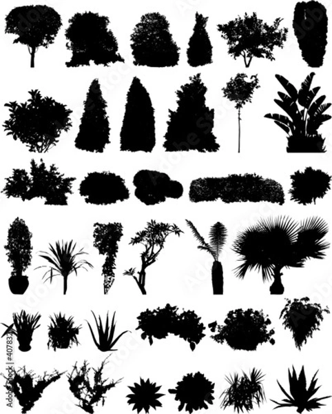 Obraz 35 trees shrubberies flowers