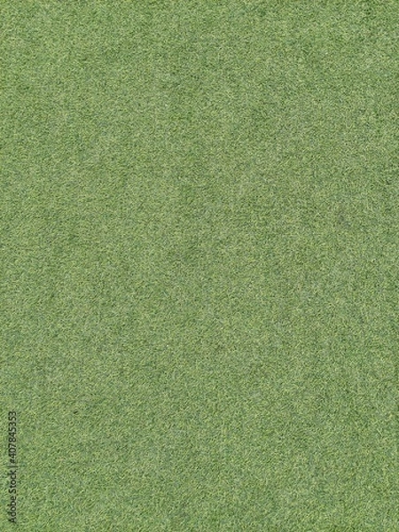 Obraz green grass texture