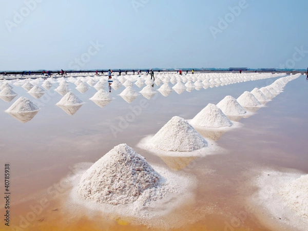 Obraz Salt pan