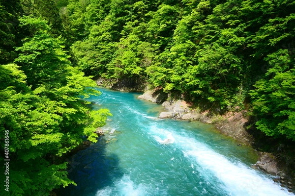 Fototapeta 新緑の抱返り渓谷。仙北、秋田、日本。５月下旬。