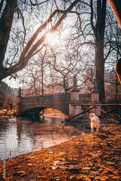 Obraz bridge over river