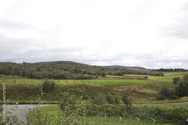 Fototapeta Scotland landscape in the summer