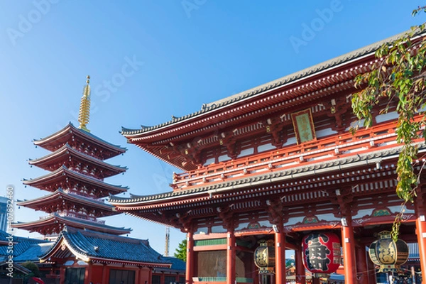 Fototapeta 【東京都】浅草 浅草寺