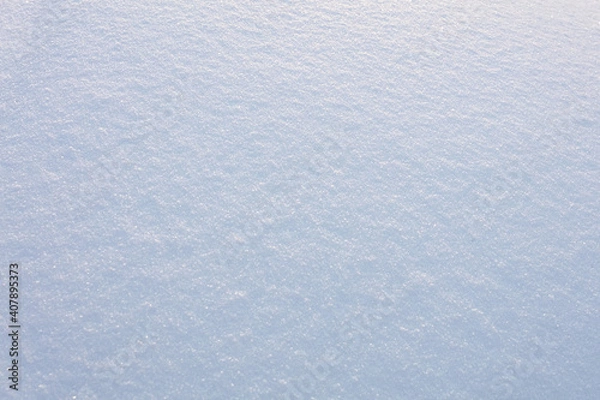 Fototapeta Pure, white snow, there is a place for text. Concept, frosty winter