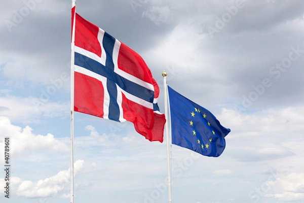 Obraz Flag waving in the wind.