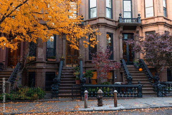 Obraz Row of Beautiful Old Brownstone Homes in Park Slope Brooklyn New York with Colorful Trees during Autumn along a Sidewalk