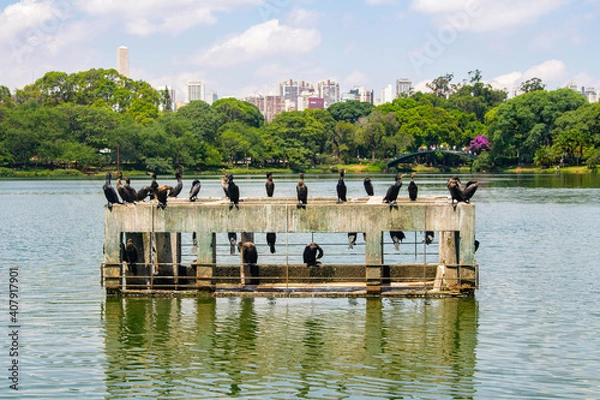Obraz Paisagem linda do parque
