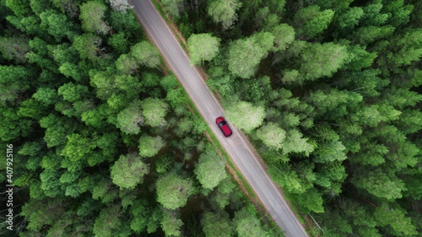 Fototapeta Aerial view of green forest and red car on the road. Bird's eye. Travel concept.