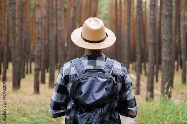 Fototapeta Young Man in a hat with a backpack in a pine forest. Hike in the mountains or forest