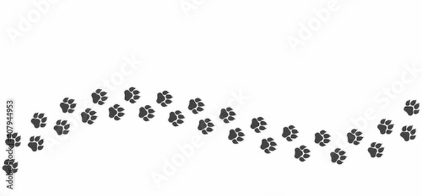 Fototapeta Black cat paw path isolated on white background. The curved vector path of cat foot prints. The kitten walked through the white snow