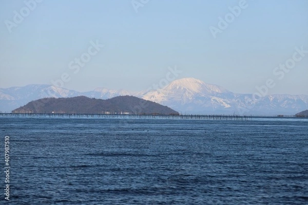 Fototapeta 琵琶湖　なぎさ公園の菜の花畑