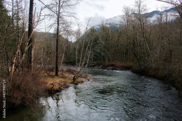 Obraz river in the woods