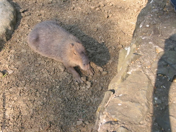 Obraz the beautiful nature