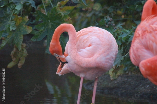 Obraz the beautiful nature