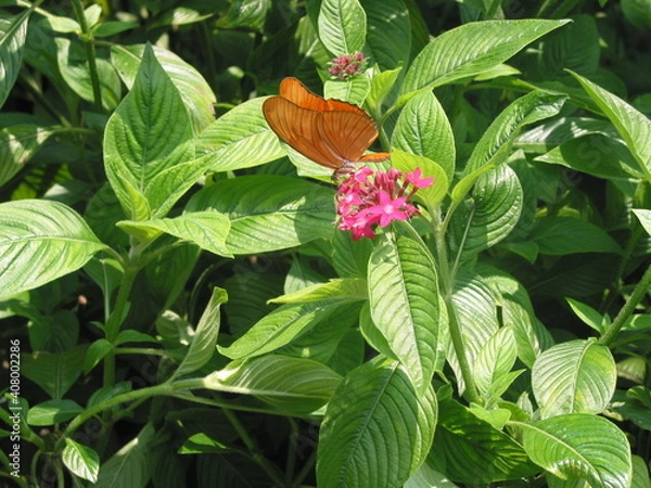 Obraz the beautiful nature