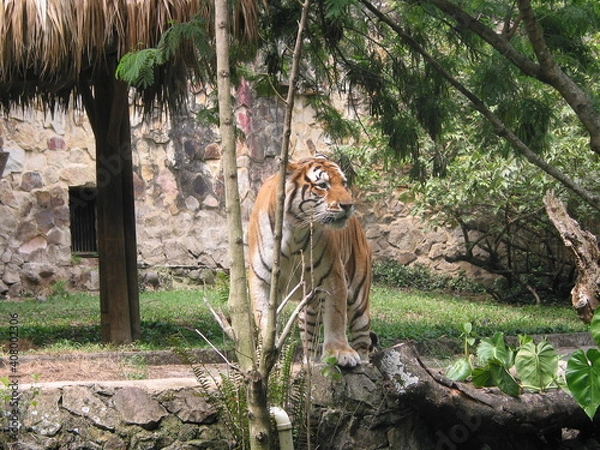 Obraz the beautiful nature