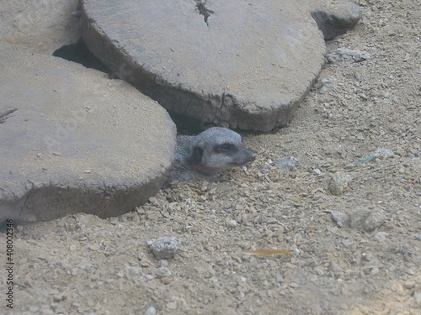 Obraz the beautiful nature