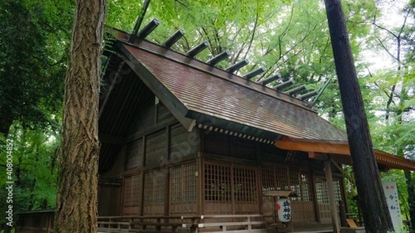 Obraz 神社