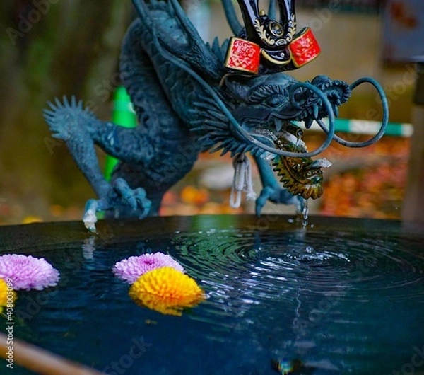 Obraz 手水舎の龍