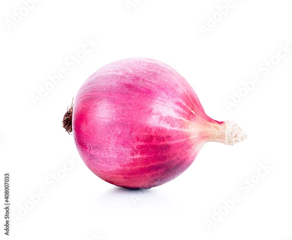 Obraz shallot or onion isolated on white background