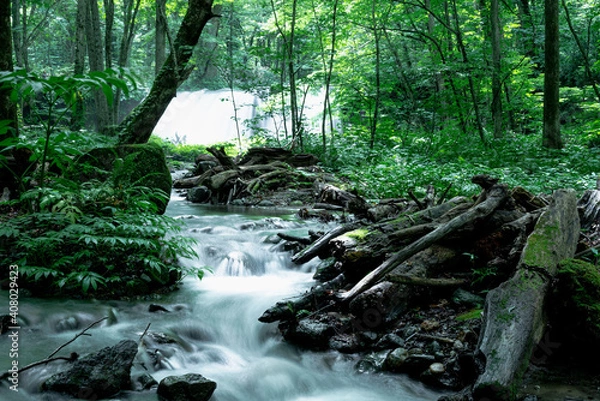 Obraz 滝から流れる水