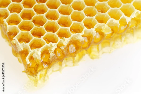 Obraz Honeycomb isolated on white