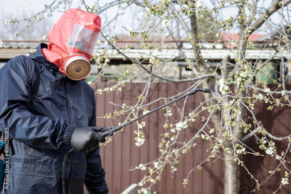 Fototapeta man in protective clothing in the backyard using hand sprayer with pesticides. Pest control. selective focus